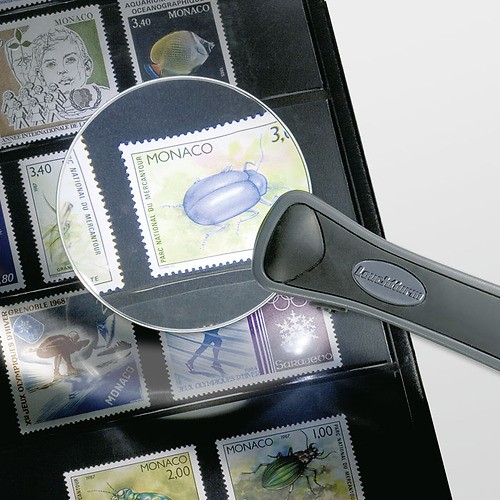 Magnifiers with handles