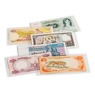 Currency Sleeves BASIC
