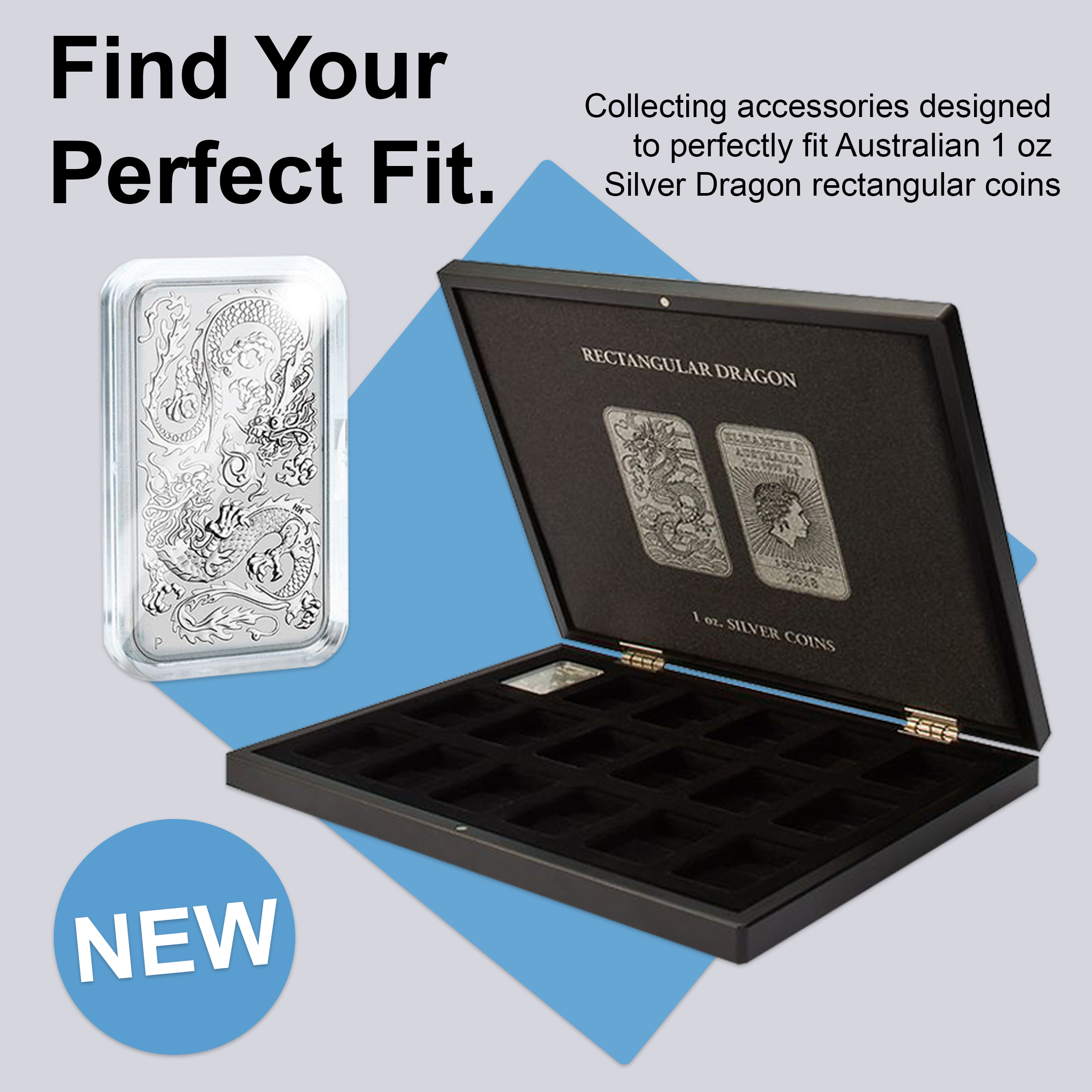 Accessories for Silver Dragon