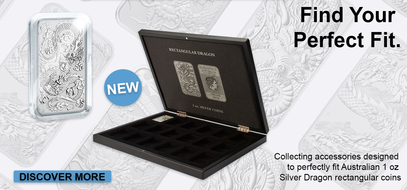 Accessories for Silver Dragon