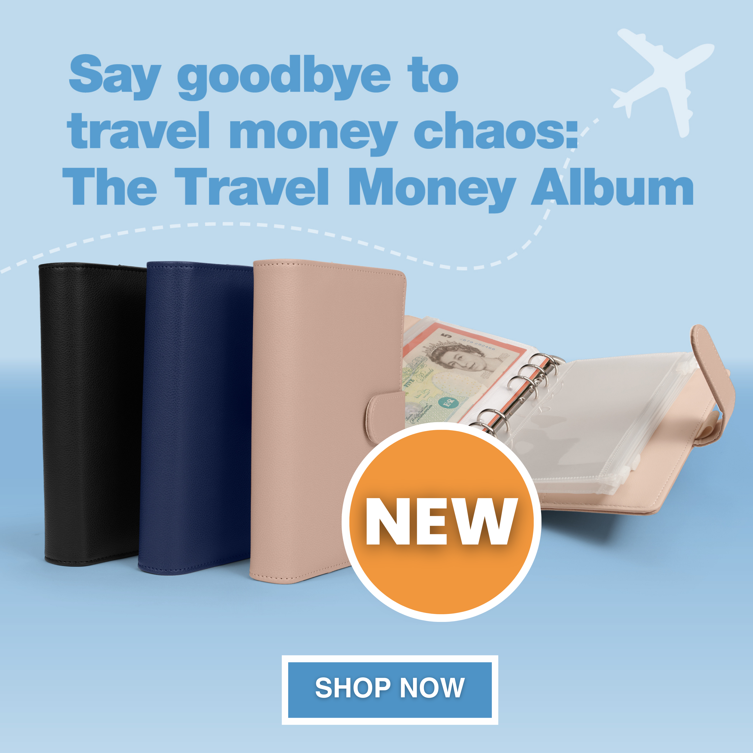 Travel Money Organizer