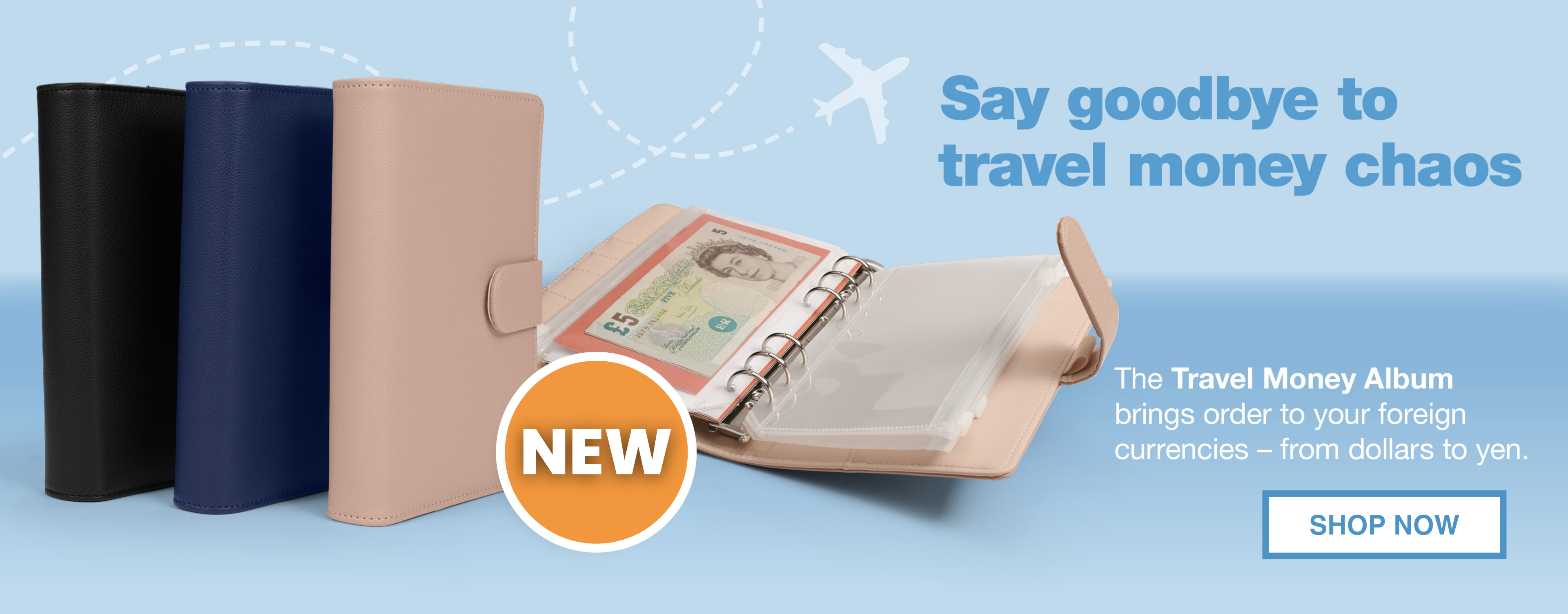 Travel Money Organizer