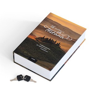 Lockable Book Safe 