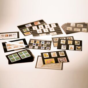 Approval Cards - White cardboard