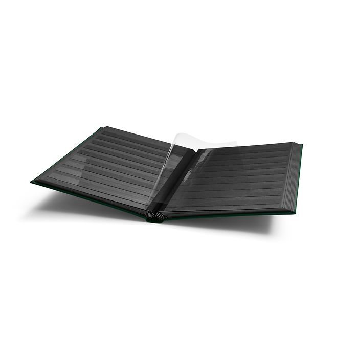 PREMIUM S32 A4 Stockbook, 32 black pages, padded leather cover, green