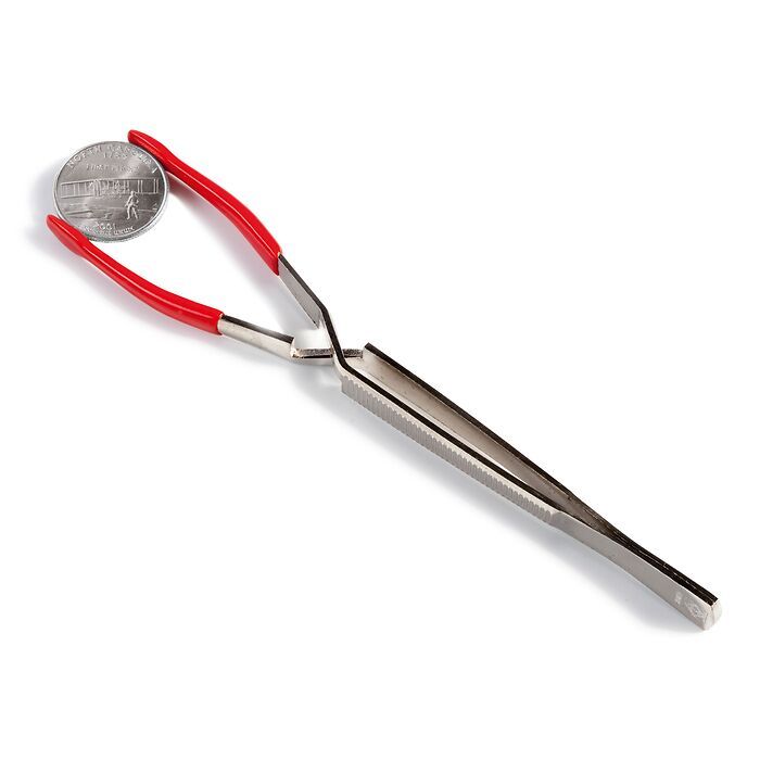 Wide-grip plastic-coated tongs for coins