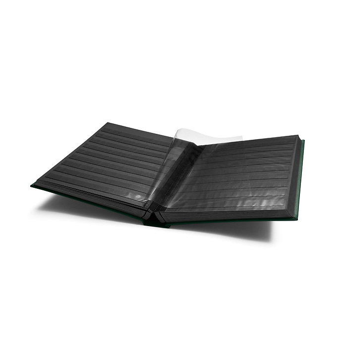 PREMIUM S64 A4 Stockbook, 64 black pages, padded leather cover, green