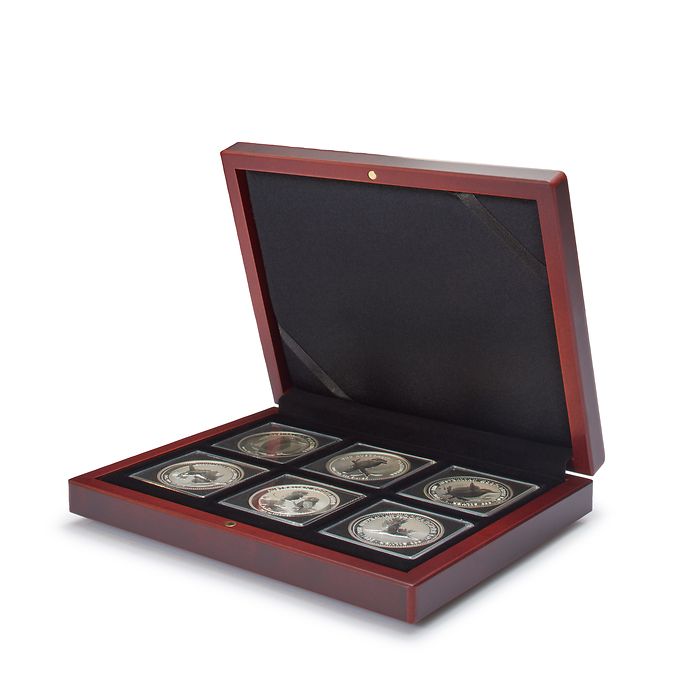 Coin Case VOLTERRA for 6 QUADRUM