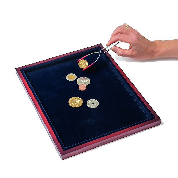 Coin Tray BUTLER