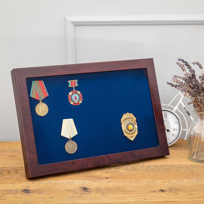 MILITARIA Display Case