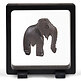 Floating Coin Frame MAGIC FRAME 90