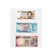 OPTIMA EASY Stock Pages, 3 horizontal pockets, pack of 50