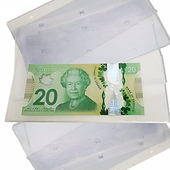 Refill pages for small Currency Albums (10-pack) Refill pages for small Currency Albums (10-pack)
